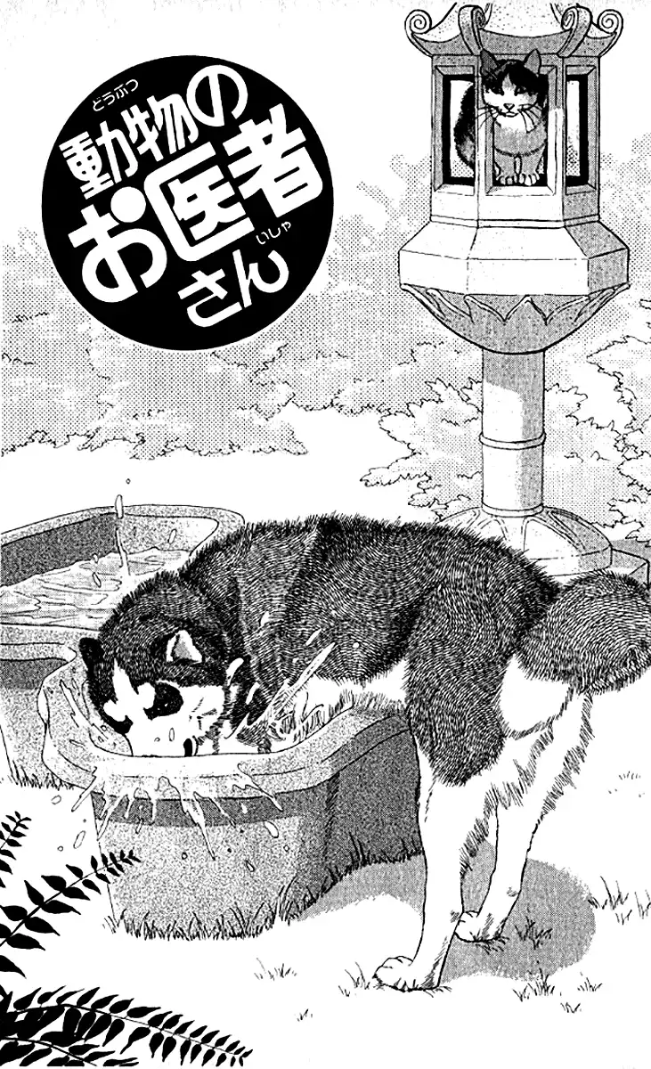 Doubutsu no Oishasan Chapter 75 3